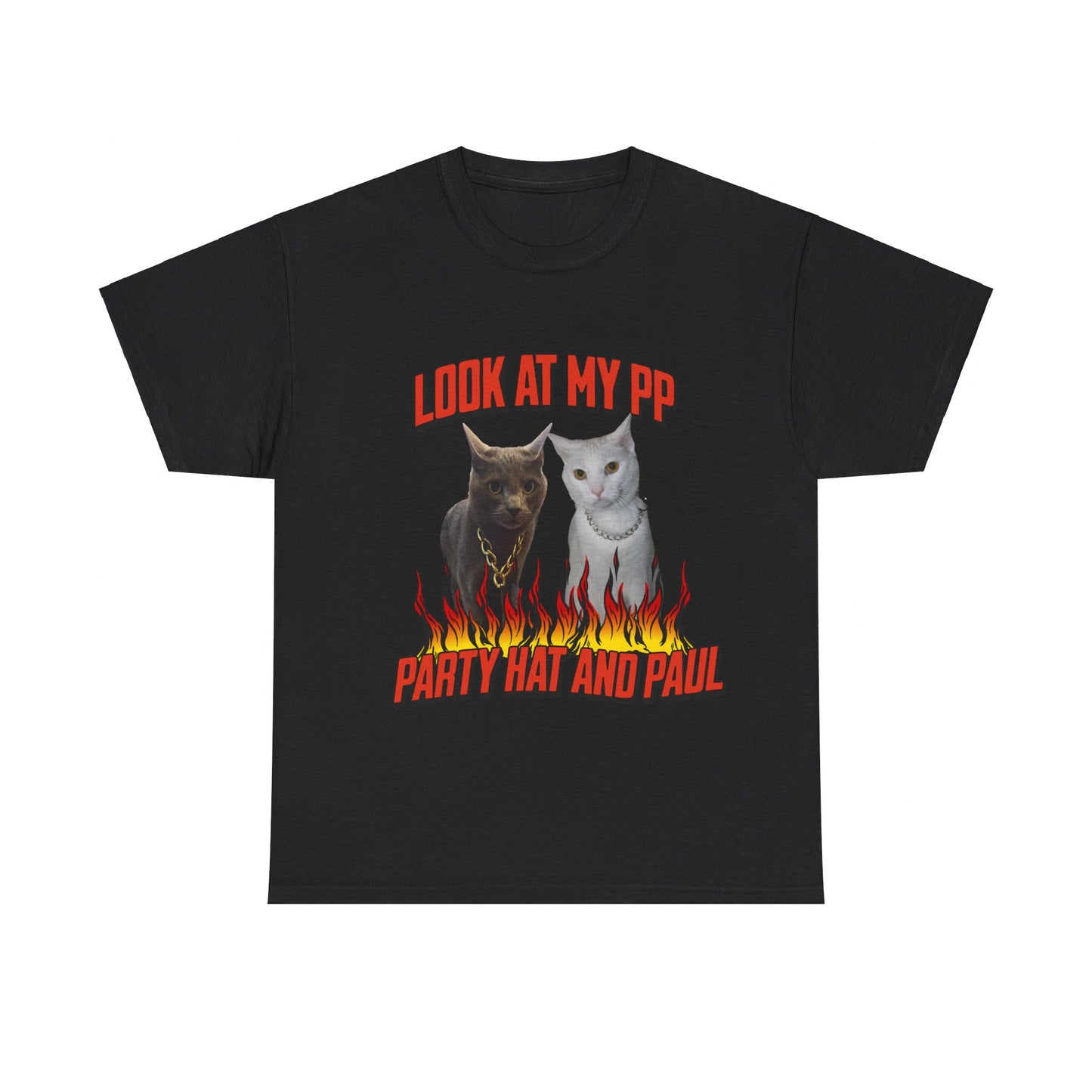 HBD PAUL SHOW ME YOUR PP TEE