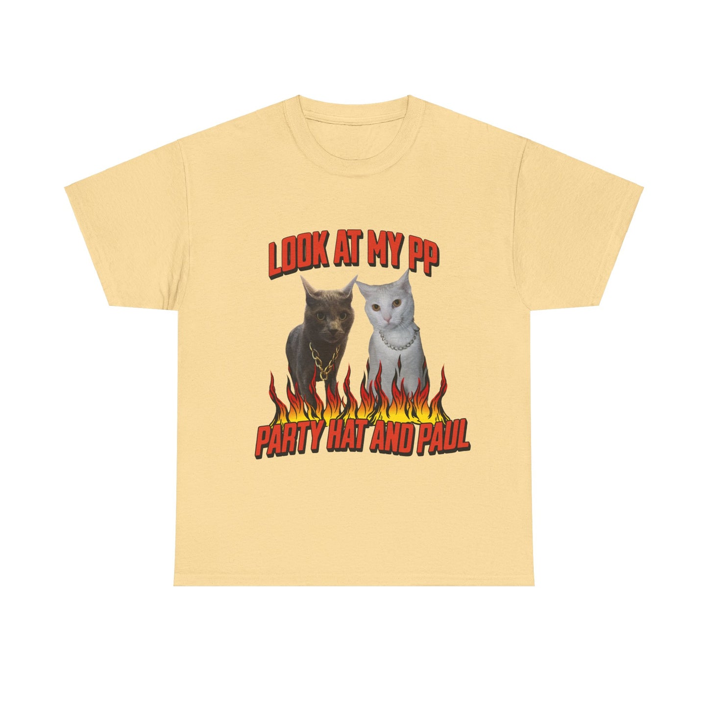 HBD PAUL SHOW ME YOUR PP TEE