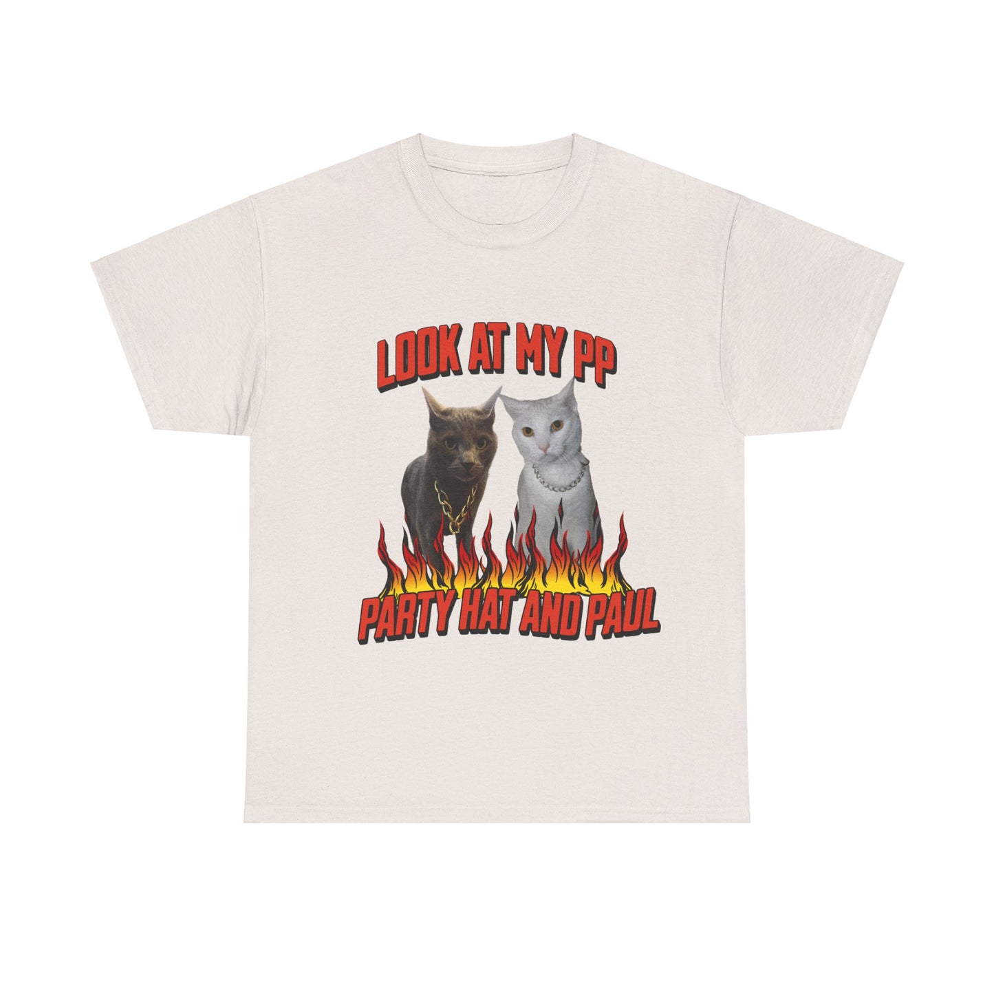 HBD PAUL SHOW ME YOUR PP TEE