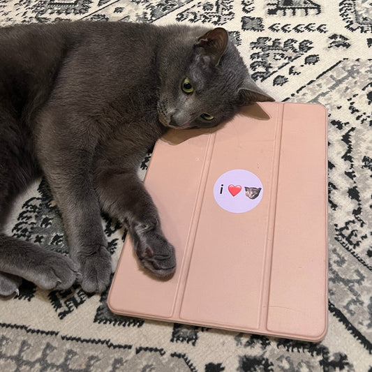 I ❤️ PARTY HAT Sticker