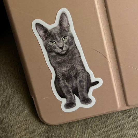 Cutest Guy Ever Sticker