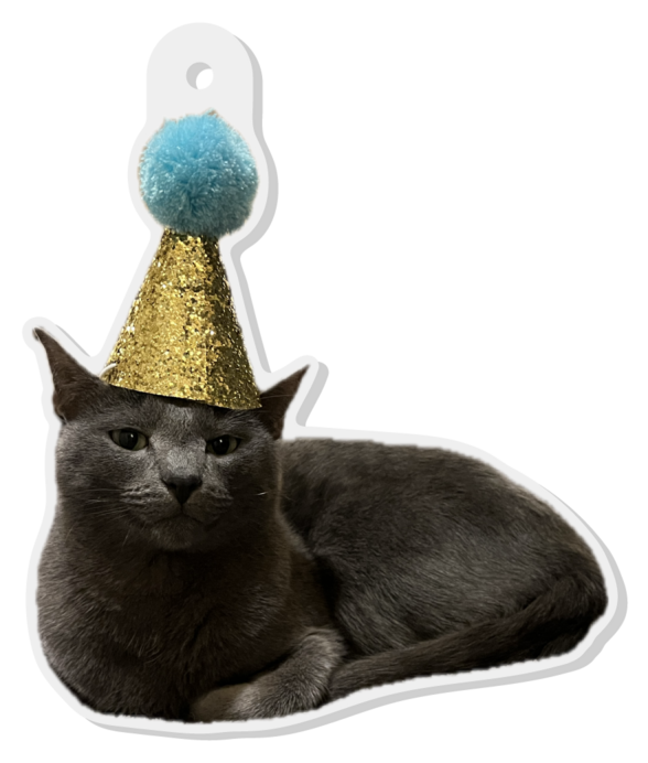 Party Hat Key Chain